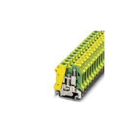 3003923