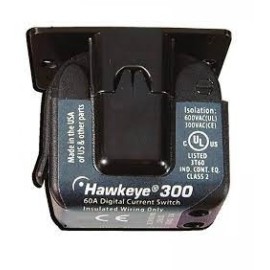 H300