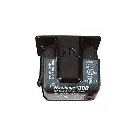 H300