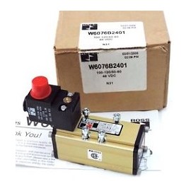 W6076B2401