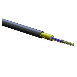 006E8F-31131-29