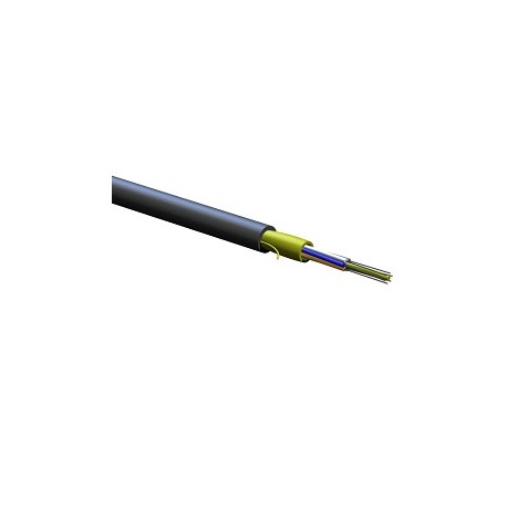 006E8F-31131-29