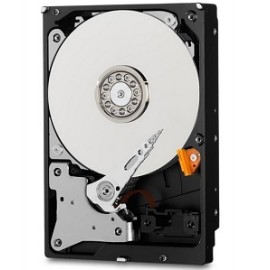WD10PURZ