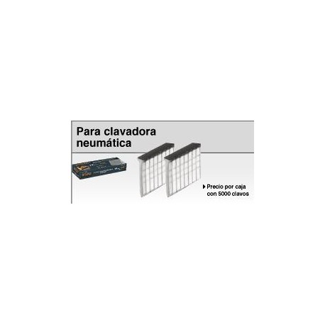 CLNEU-2-32
