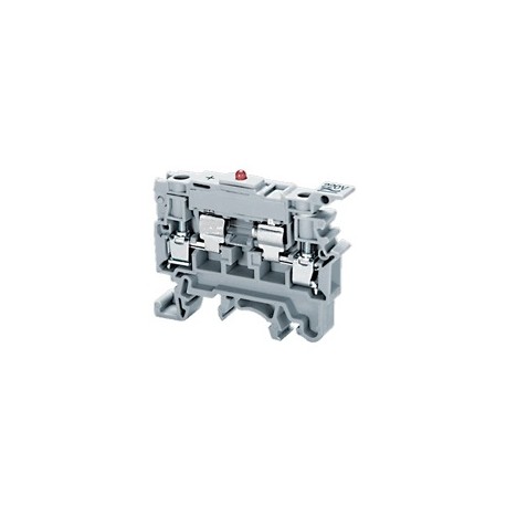 CSFL4U-L-24