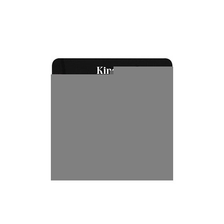 SDCS2-128GB