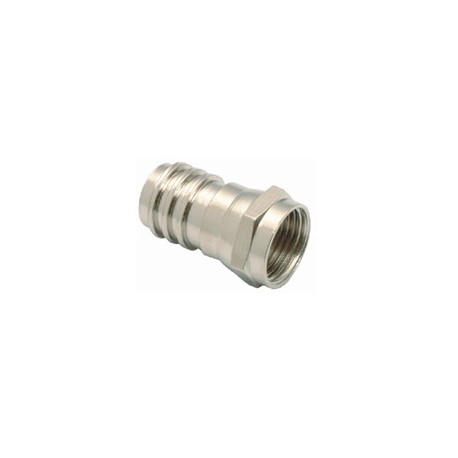 CAMPRG59R