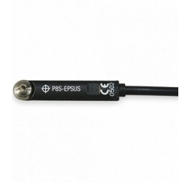 P8S-EPSUS