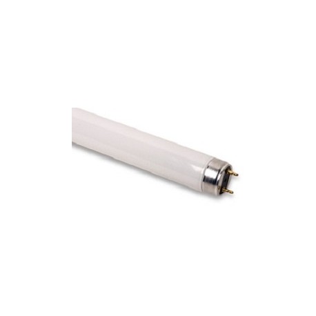 TUBO54-6500-PL